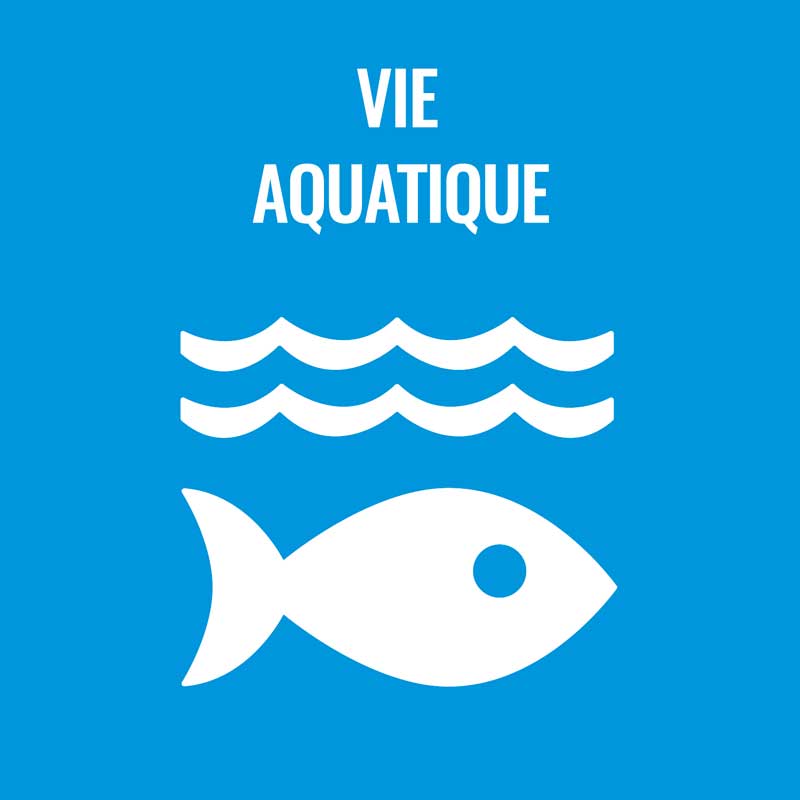 vie aquatique
